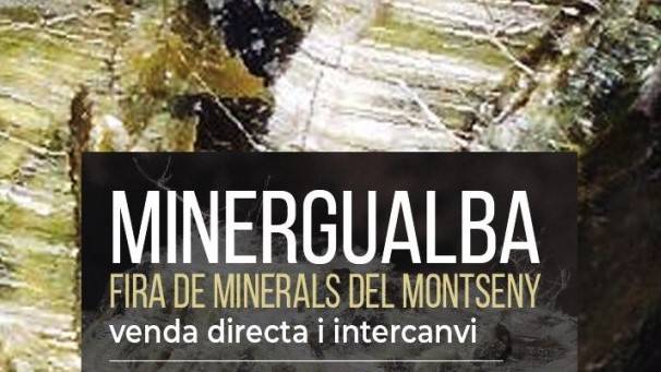 Fira de minerals minergualba y0bfsx.tmp