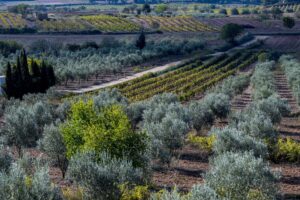 Dsc 8686dop b.conca 