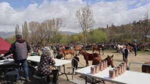 Fira de primavera a puigcerda foto 2
