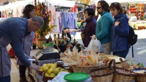 Fira de tots sants baga foto 2