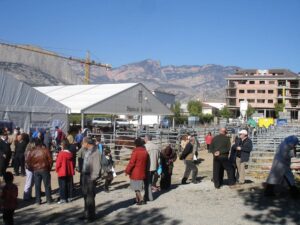 Fira de tots sants oliana foto 2 min