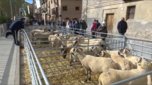 Fira de lovella i santa teresa a ripoll foto 2