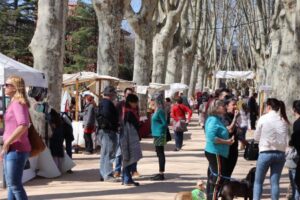 Fira de la terra a caldes de malavella foto 1