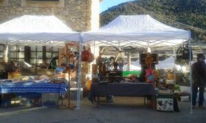 Fira de la vall a tuixent foto 1