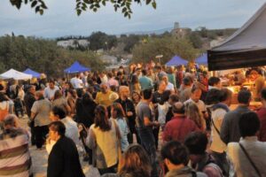 Fira de la cervesa artesana a lespelt 3