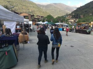 Fira de les trementinaires a tuixent foto 3 min