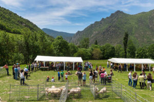 Fira de productors del parc natural de lalt pirineu 2 1