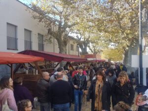 Fira del bosc i la pagesia a vallgorguina foto 1