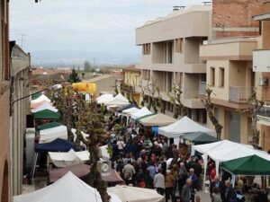 Firacamp a miralcamp foto 3