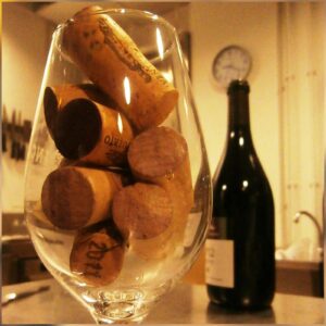 Firavirtual de vins i caves julilol 2020 12