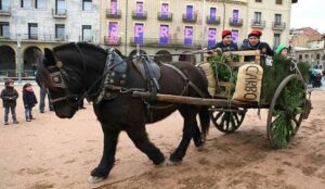 Fireta de sant antoni a manlleu foto 2