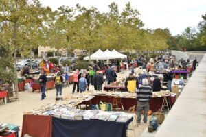 Mercat mensual dantiguitats colleccionisme art i artesania a igualada foto 2