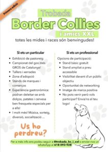 Trobada border collies i amics xxl cartell 2025 2