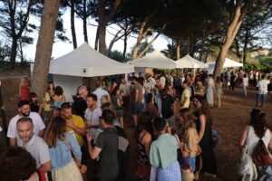 Arrels del vi fira 1