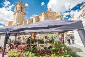 Fira gastronomica senia 1