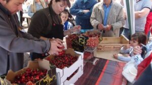 Fira primavera brafim 2 1